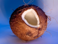 kokos.jpg