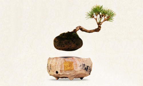 air-bonsai-floating-tree-00 (550x330).jpg