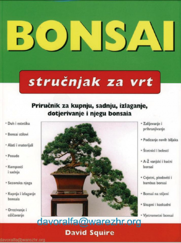 Squire - Bonsai.JPG