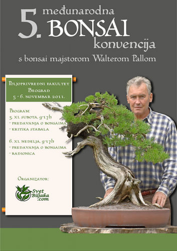 5-bonsai-konvencija-BEOGRAD.jpg