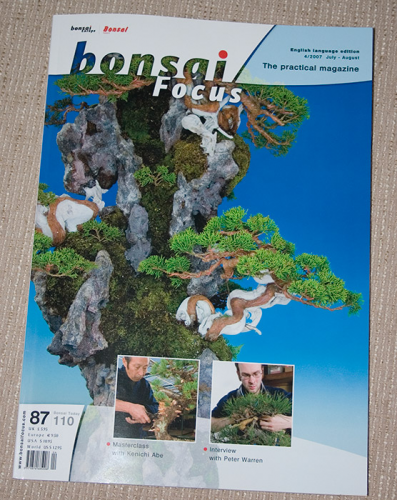 bonsai_focus-naslovna.jpg